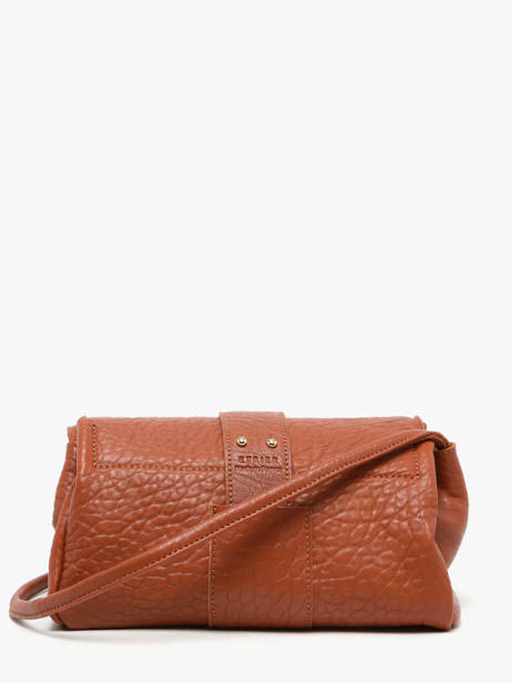 Shoulder Bag M Agnes Leather Etrier Brown agnes EAGC205M other view 6